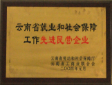 2004年被云南省工商联合会授予“先进民营企业称号”
