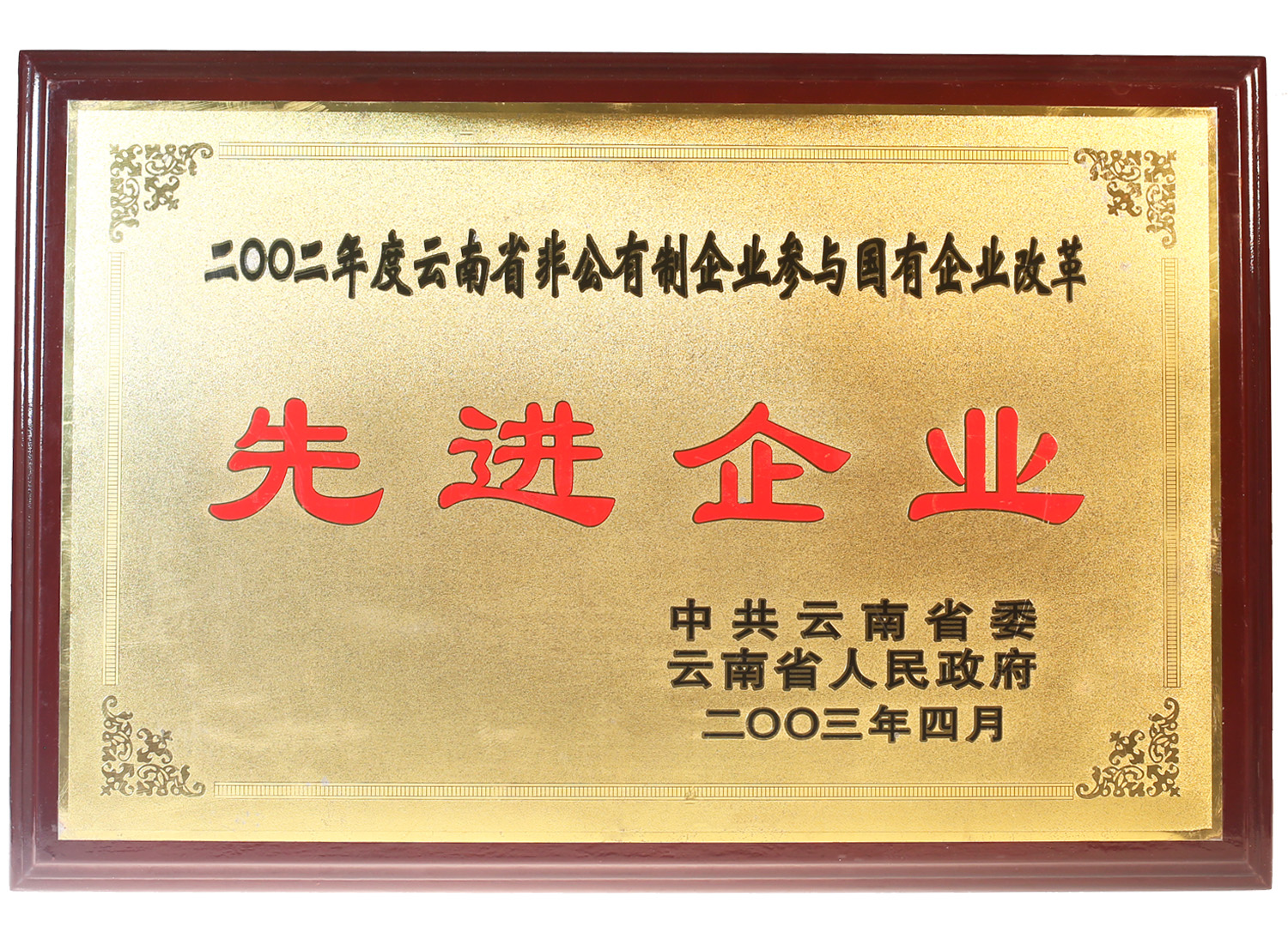 2003年被云南省政府授予“先进企业”称号